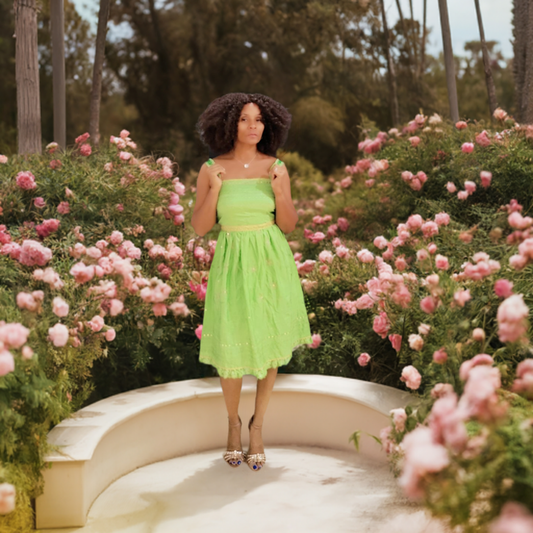 Express  Brunch Style Dress