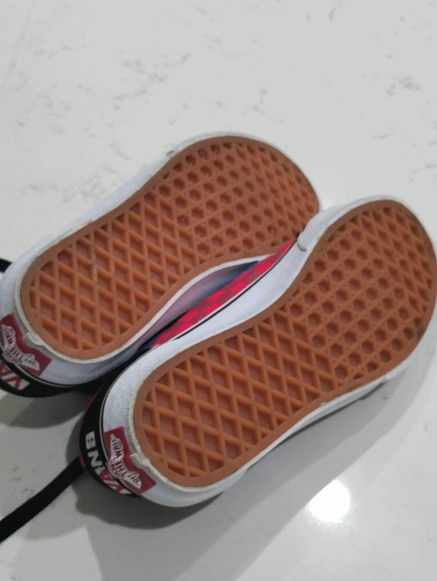 Van's canvas lace sneakers